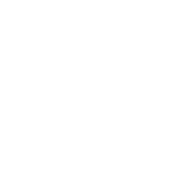 Twitch twitch-logo-white