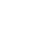 Youtube youtube-logo-white